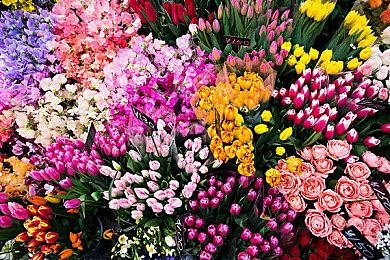 《如龙》系列将继续使用龙引擎 但会添加新功能